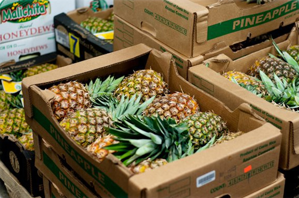 https://ringbroswholesale.com/wp-content/uploads/2020/02/ring-bros-ordering-pineapples.jpg